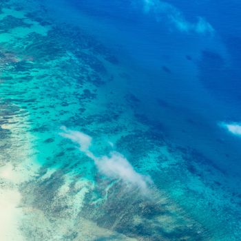 Protecting Our Oceans: Creative Ways You Can Help from Home