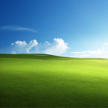 Nourishing Nutrients for Your Lawn: A Spring Care Guide