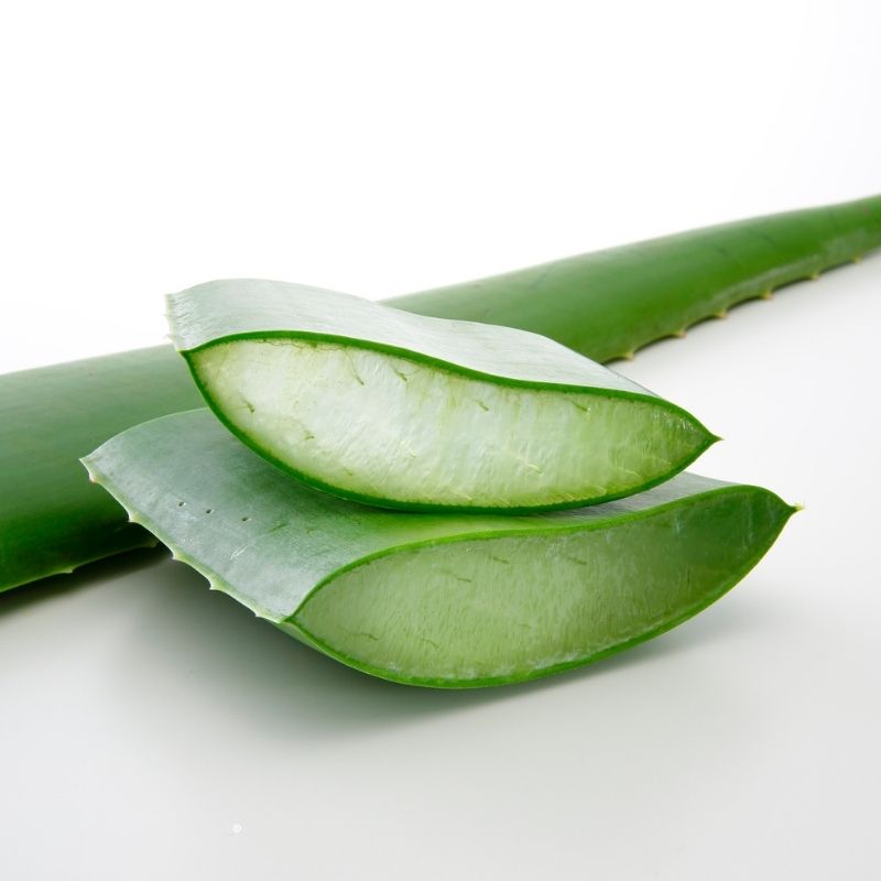 Aloe Vera for Skin