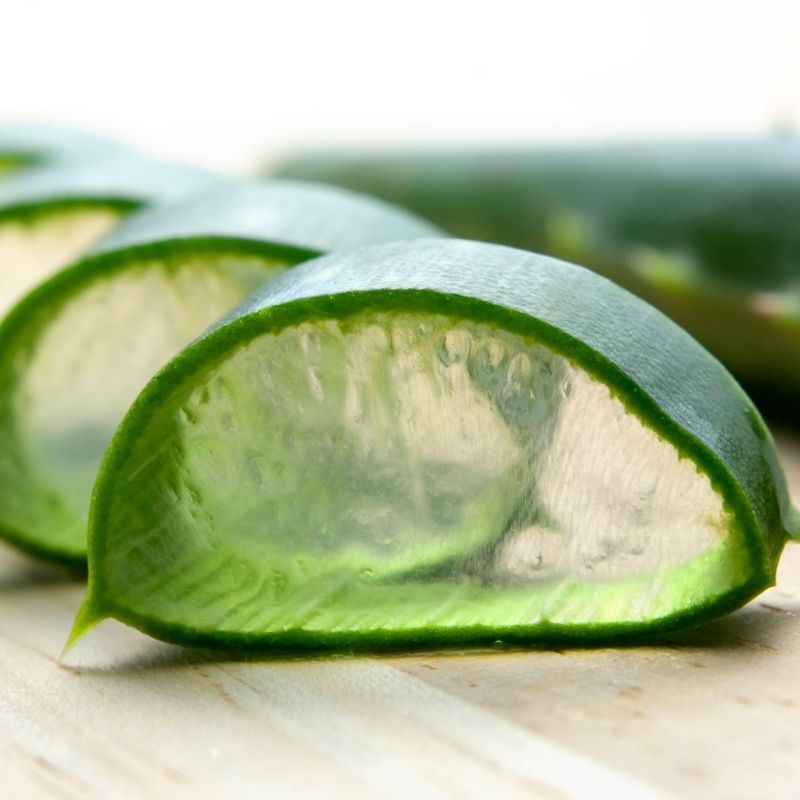 Aloe Vera Health Benefits
