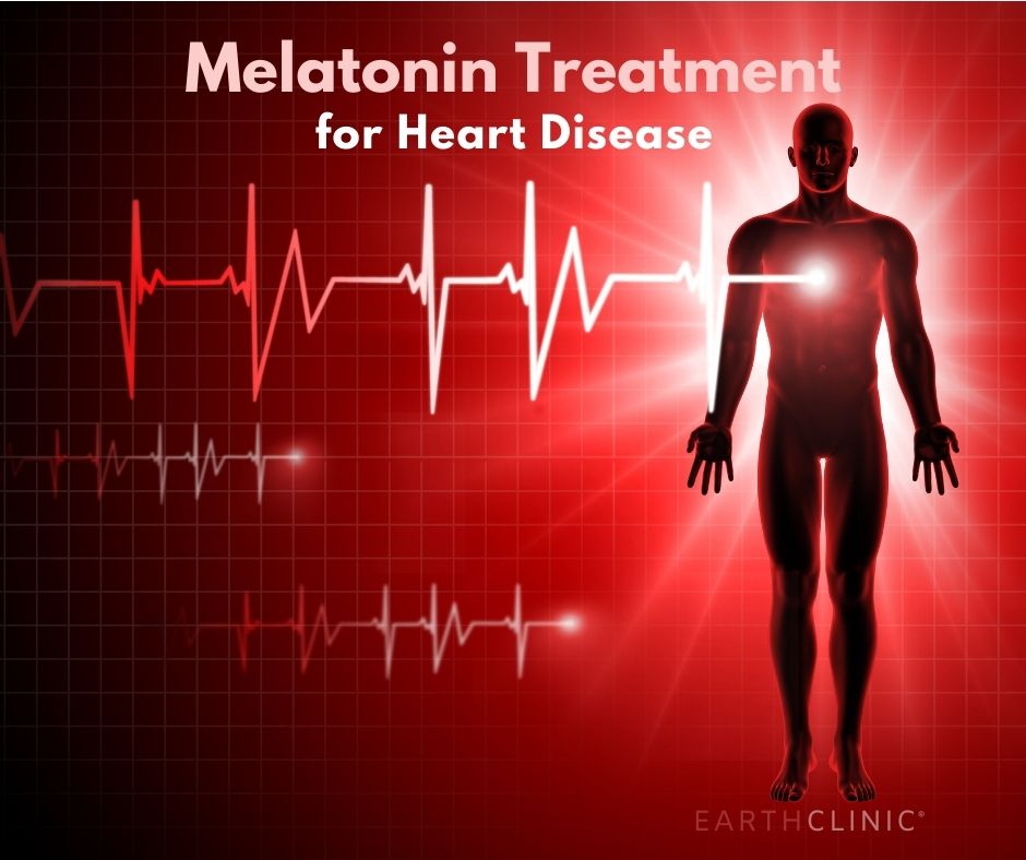 New Study Links Melatonin to Slower Atherosclerosis