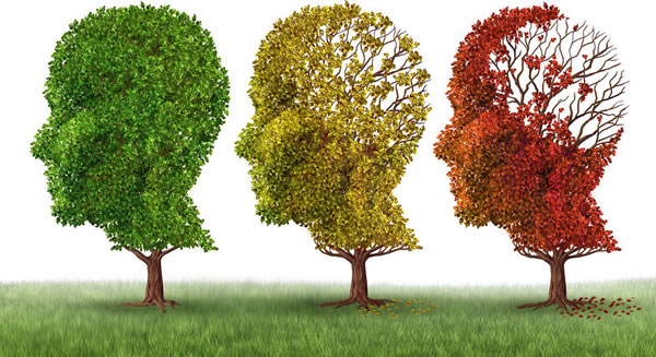 Promising Alzheimer's Drug Fails in Clinical Trial